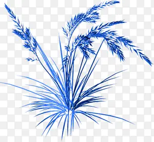 ޹�²ݻ���-������