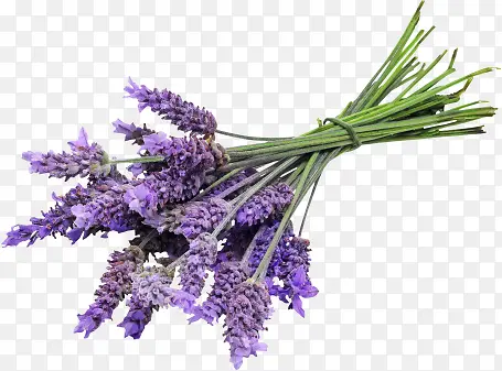 ��ɫ޹�²ݻ���ʵ��-������