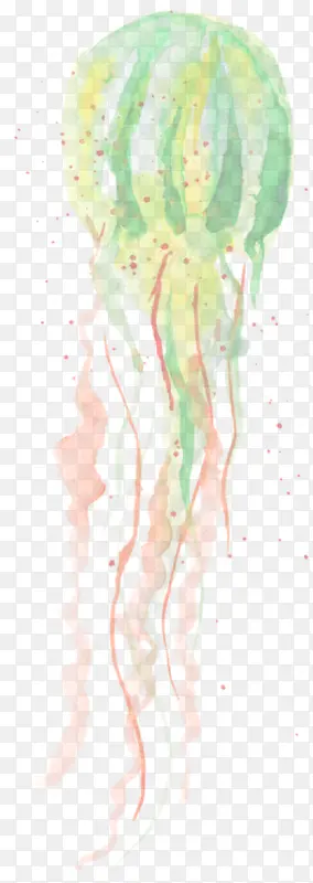 ���������ֻ���ˮĸ-������