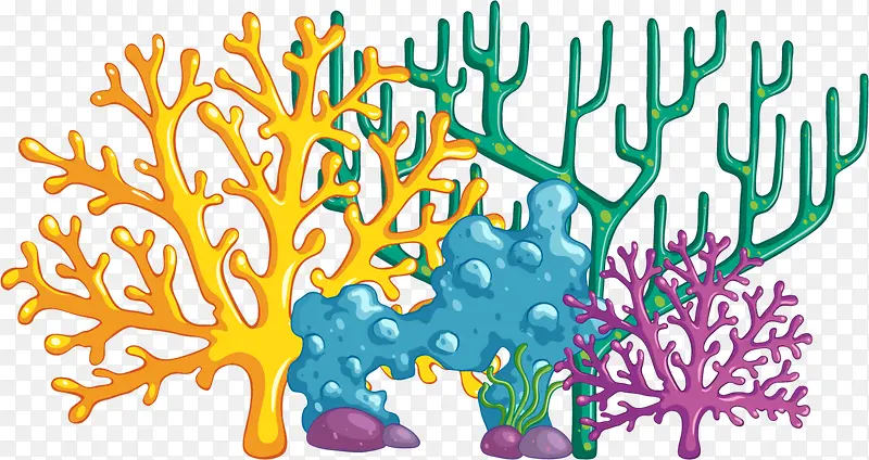 ���纣�����������ɺ��-������