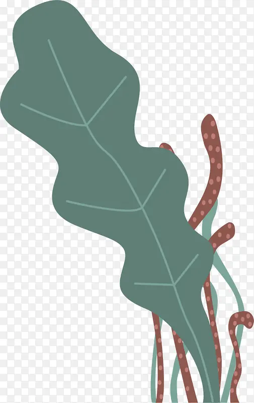 ���纣���ն�ʺ���-������