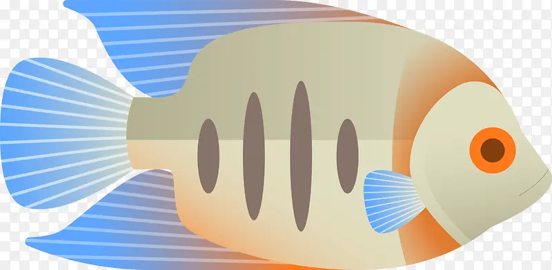 ���纣�����������С��-������