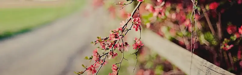 Ψ������-������