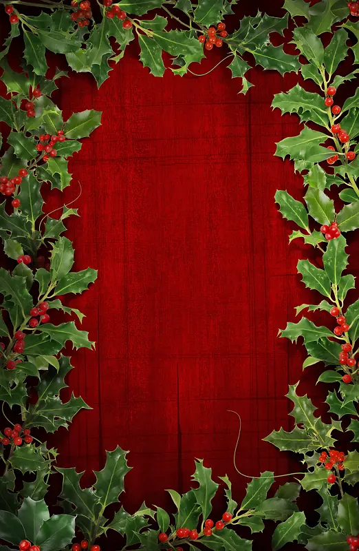 ʥ���ڱ����߿�-������