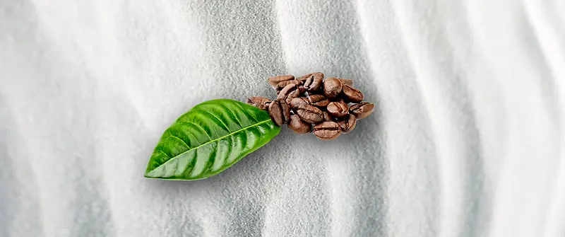 �����ʸа�ɫ����-������