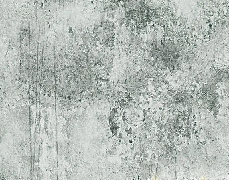 �ֻ�ڰ�ǽ�ڴ���-������