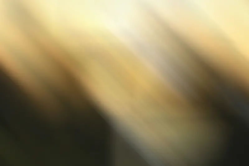 ����ʱ�б���-������