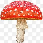 �ֻ�Ģ��-������