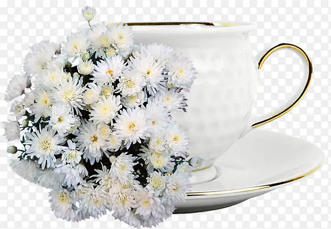 �����䱭��-������