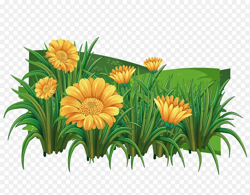 ������ɫ�ʻ��������-������