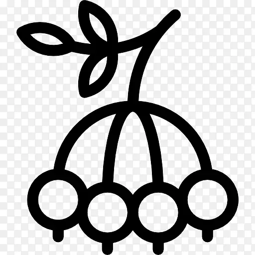 Berry ͼ��-������