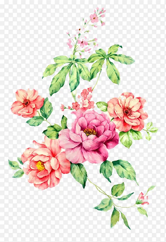 һ�Ż���-������