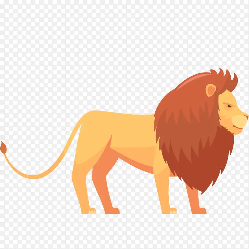 ��ͨ�ɰ�С����װ�ζ���ͷ��-������