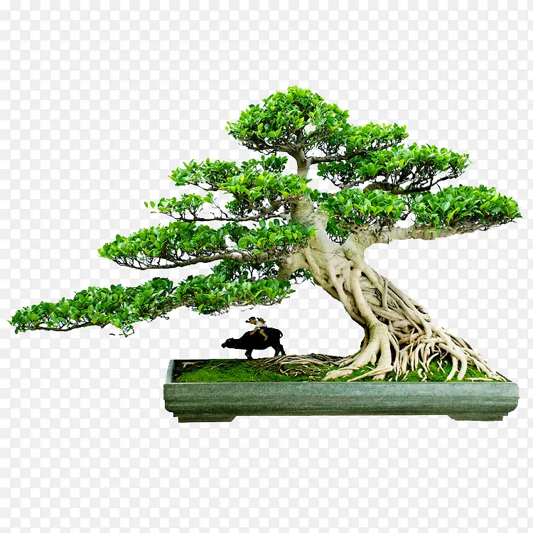 ��-������