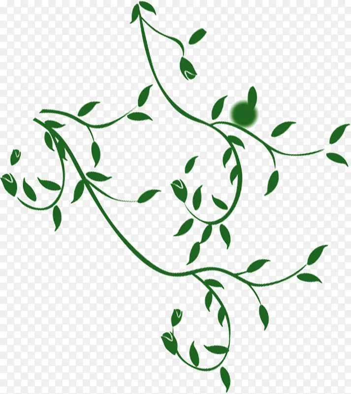 ��ɫ����������Ҷ��֦-������