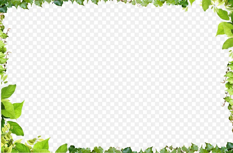 ��Ҷ�߿�-������