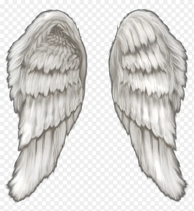 ���ʸе�ë�޳��-������