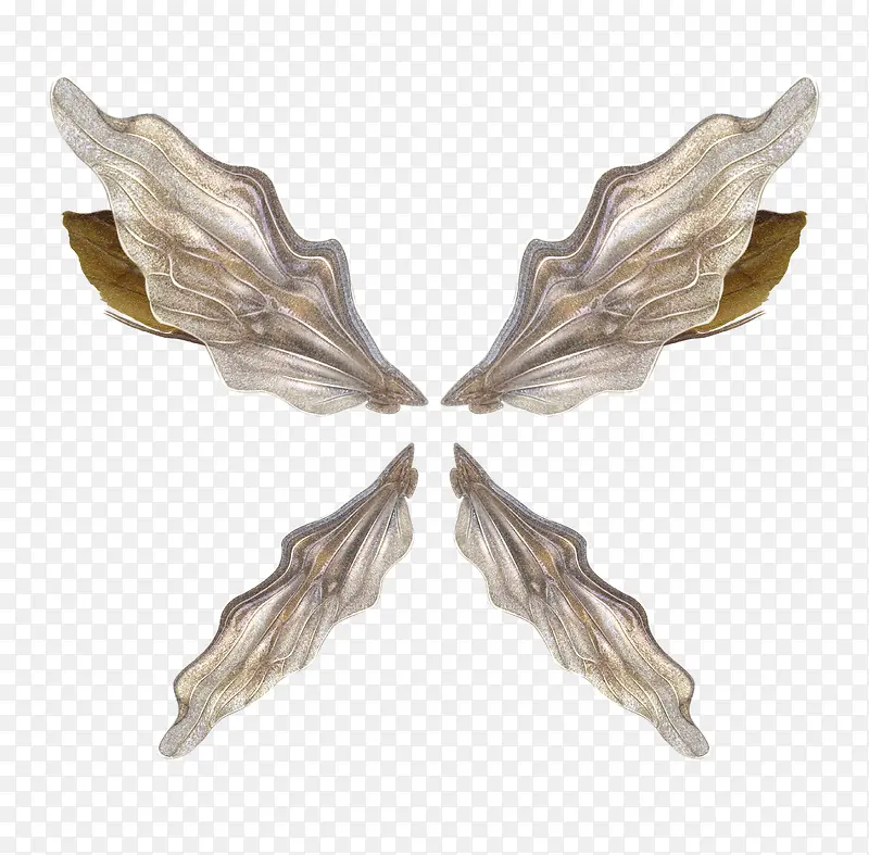 ��ë�ز���ë -������