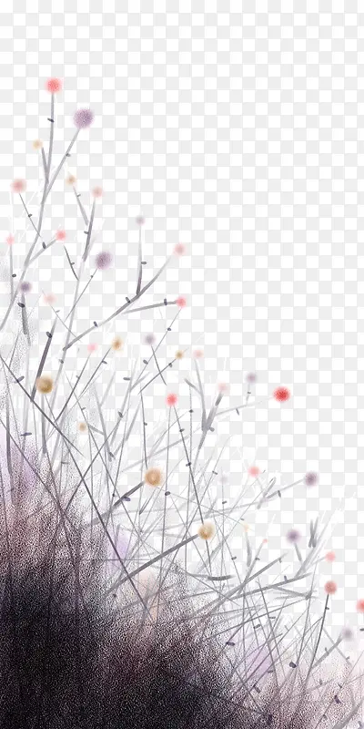 ����ֲ��ͼ��������ư�ɫ������-������