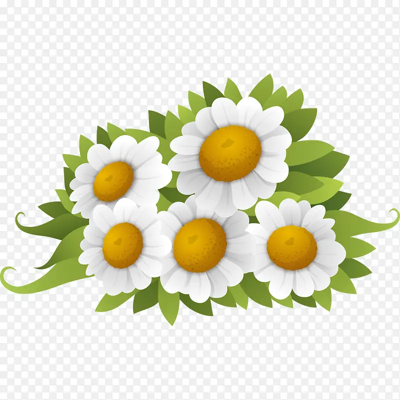 ��ɫ�ջ�����-������