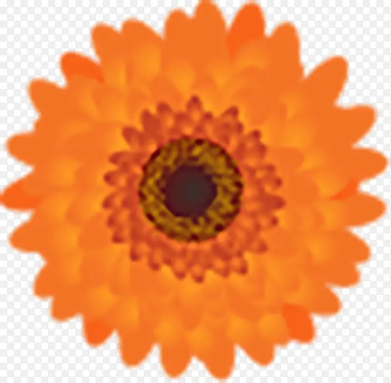 �＾��Ҷ������ǩ-������