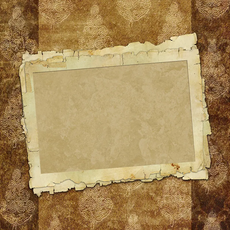 ���ű���-������