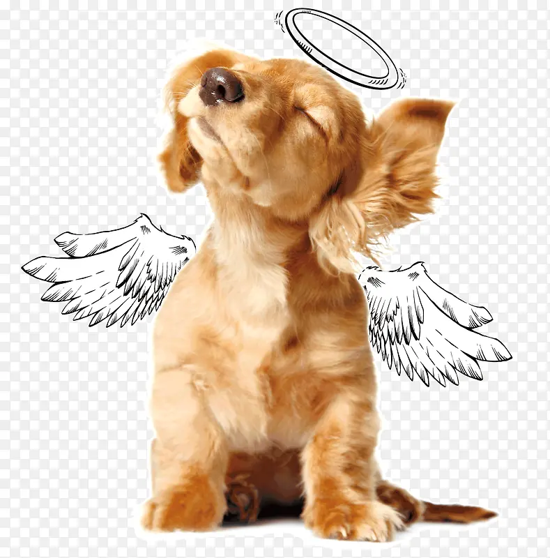 ��ʹ����-������