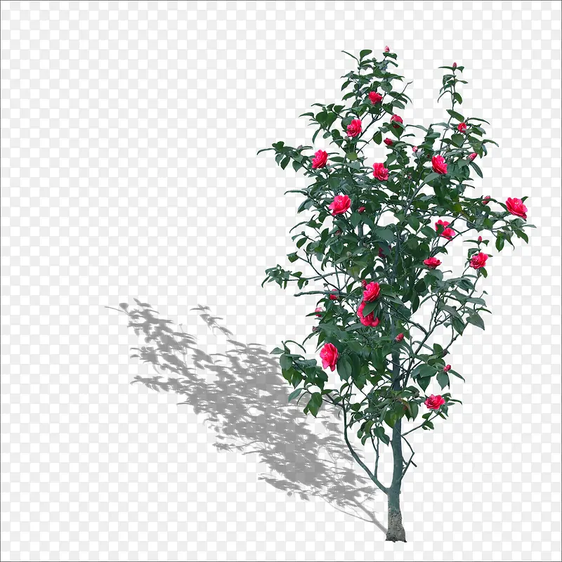 С��-������