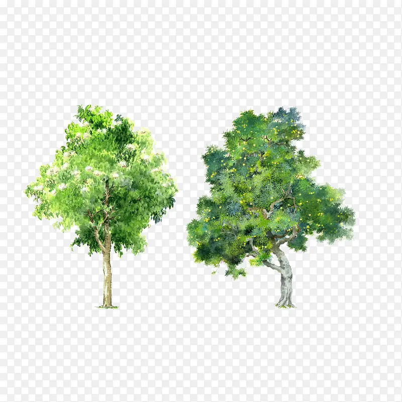 С��-������