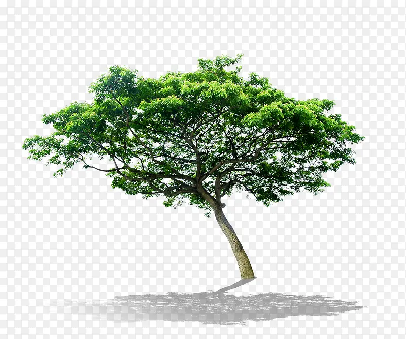 ����-������