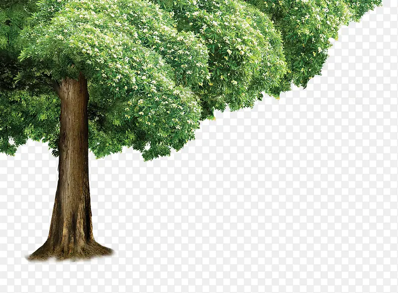 ������Ӱ��������ϳ�-������