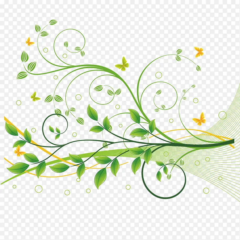 ��֦������-������