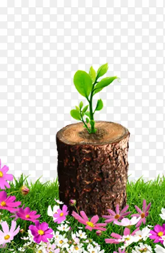 Ŭ���ɳ�����-������