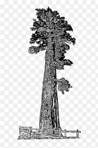 С��-������