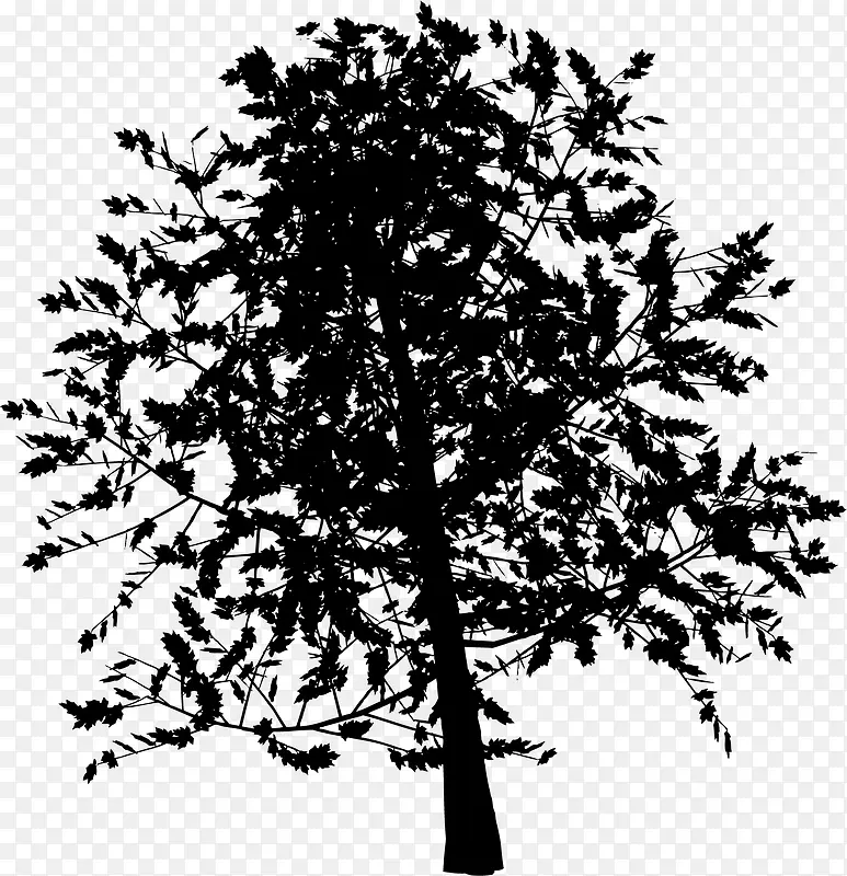 ��-������