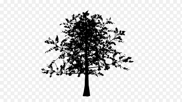 ��-������