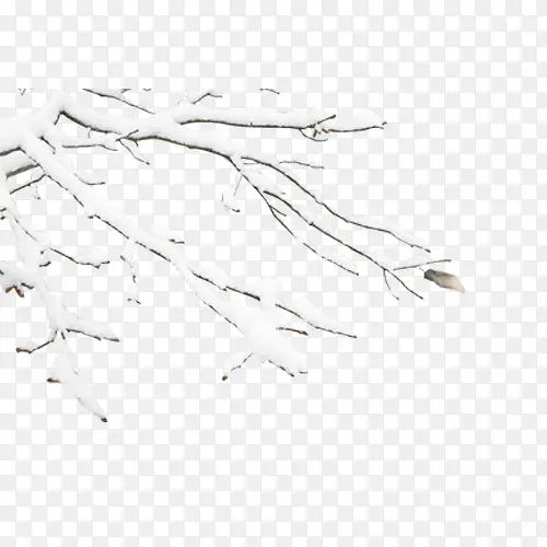 ��֦-������