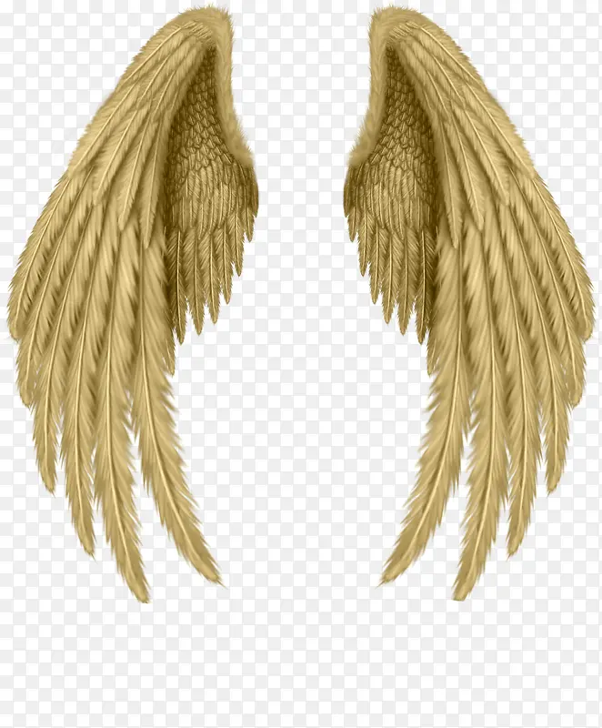 ���ͼ���ز�-������