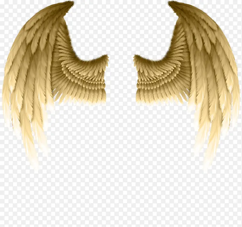 ���ͼ���ز�-������