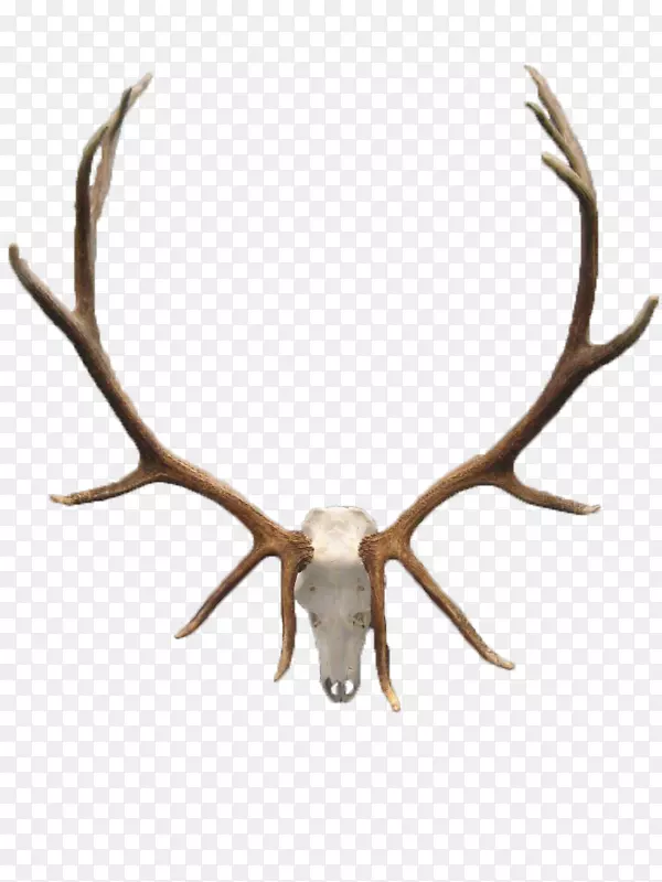 ��β¹��ͷ�ǹ�¹ͷ-������