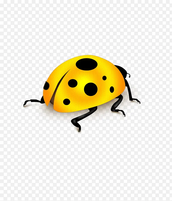 ����ư��-������