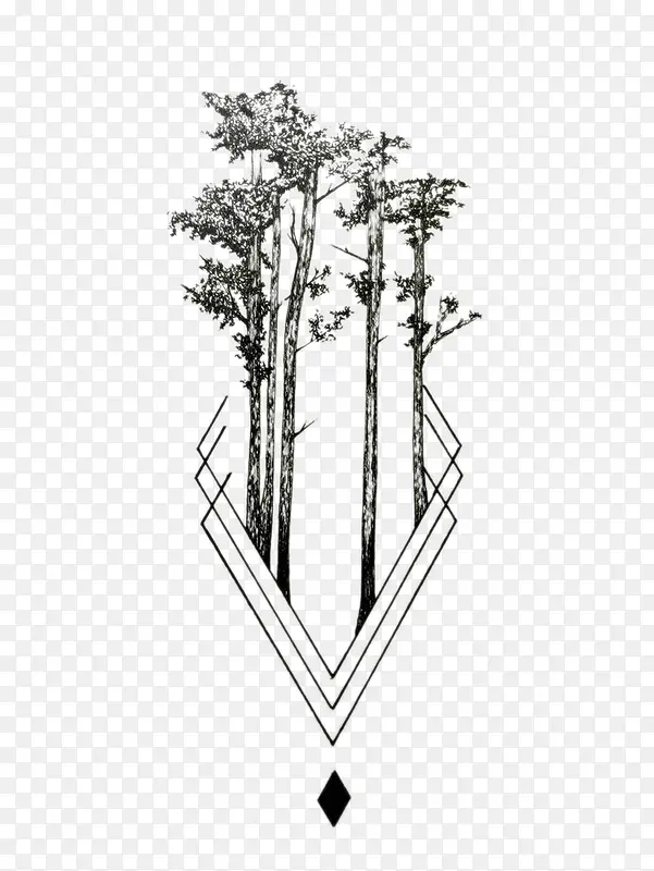 ��ľ-�廭-������