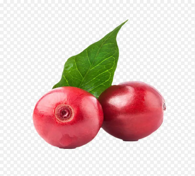 ��ɫ��Ҷ�ӵĿ��ȹ�ʵ��-������