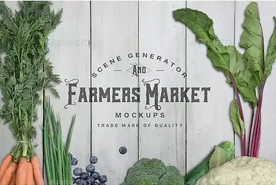 ������Ӱ��־���ϳ�Ч��-������