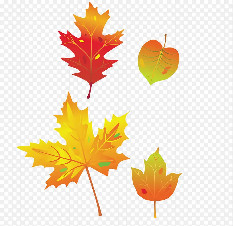 ��ɫ��Ҷ-������