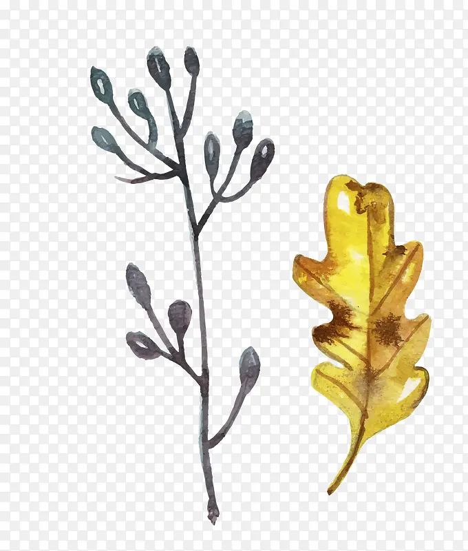 �����ɫ��Ҷ-������