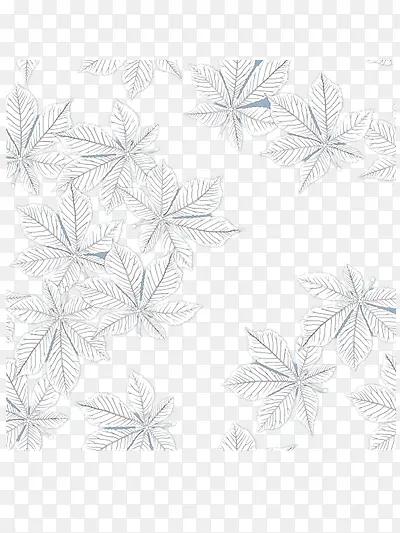 ʸ����ɫ��Ҷ����ͼ��-������