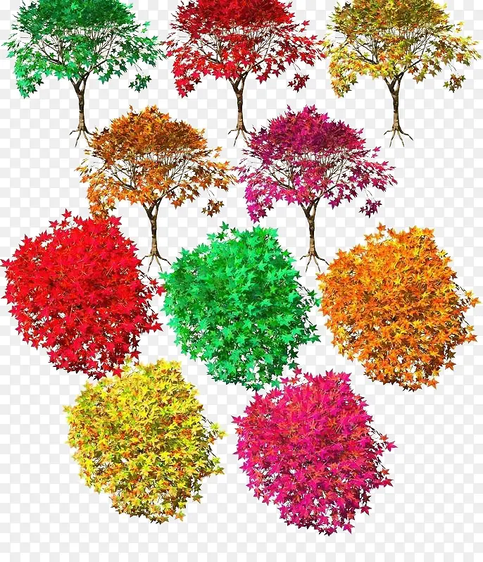 ��Ҷ��-������