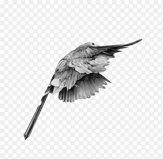 һֻ��-������