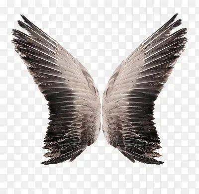 ��ɫ���-������